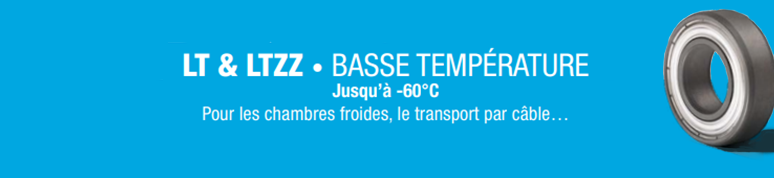 performances roulements basse température topline SNR