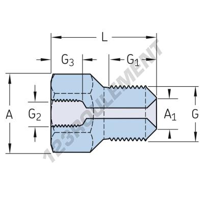 1009030B-SKF