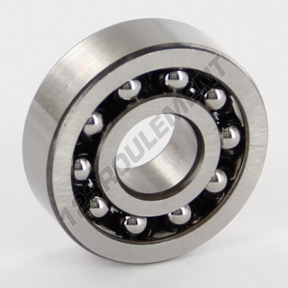108-TN9-SKF