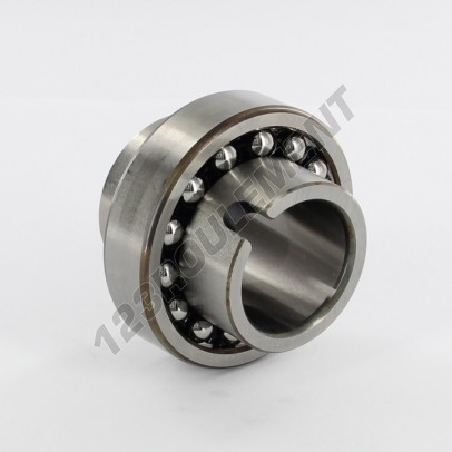 11206-TN9-SKF