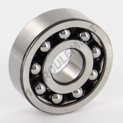 129-TN9-SKF