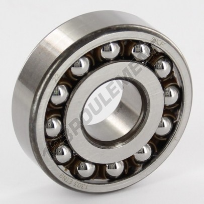 1303-ETN9-SKF