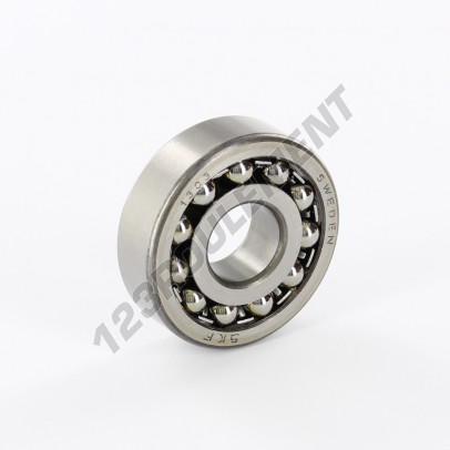 1303-SKF