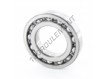 16005DX1-KINEX