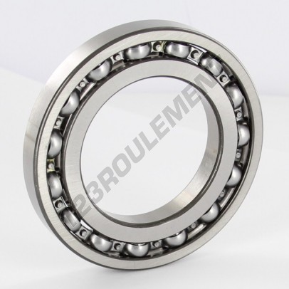 16009-SKF