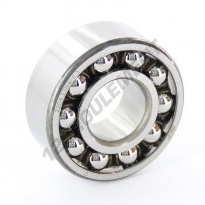 2204-ETN9-C3-SKF