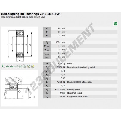 2213-2RS-TVH-FAG