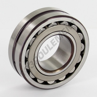22205-E-SKF