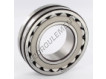 22209-E-C3-SKF