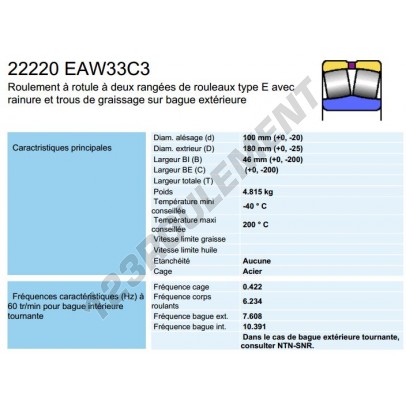 22220-EA-W33-C3-SNR