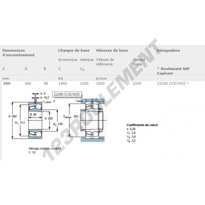 22240-CCK-W33-SKF