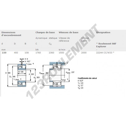 22244-CC-W33-SKF