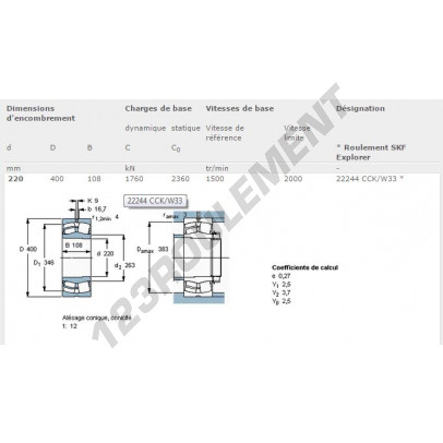 22244-CCK-W33-SKF