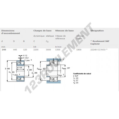 22248-CC-W33-SKF