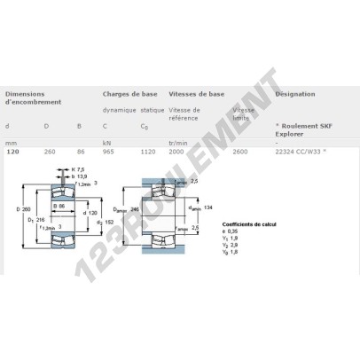 22324-CC-W33-SKF