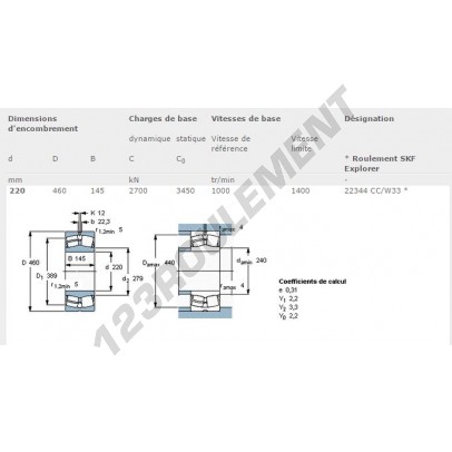 22344-CC-W33-SKF