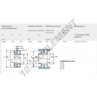22348-CC-W33-SKF
