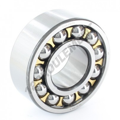 2308-EM-P6-SKF