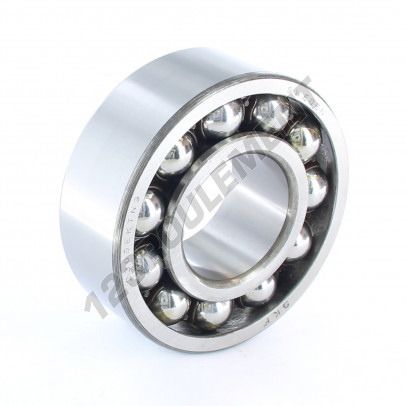 2309-E-K-TN9-SKF