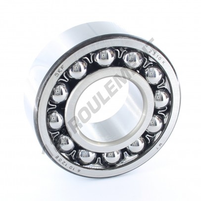 2310-K-SKF