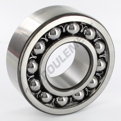 2310-SKF