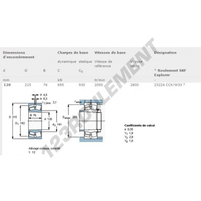 23224-CC-K-W33-SKF