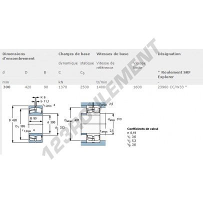 23960-CC-W33-SKF