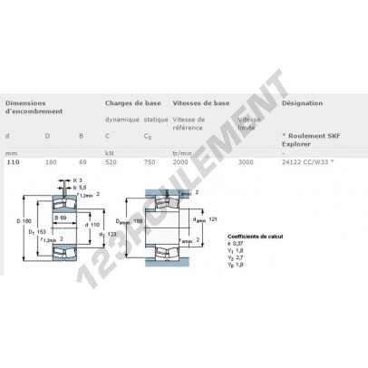 24122-CC-W33-SKF