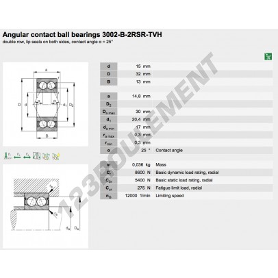 3002-B-2RSR-TVH-FAG