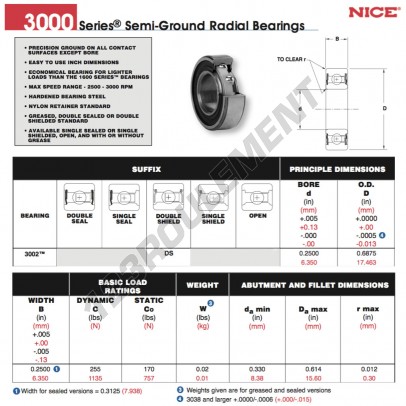 3002-DS-NICE