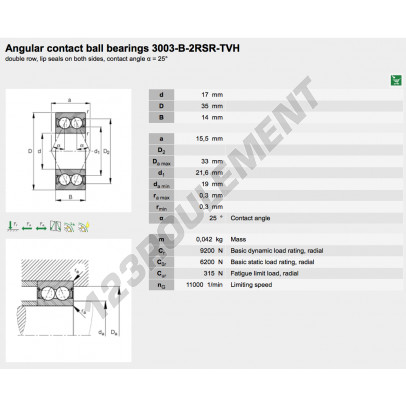 3003-B-2RSR-TVH-FAG