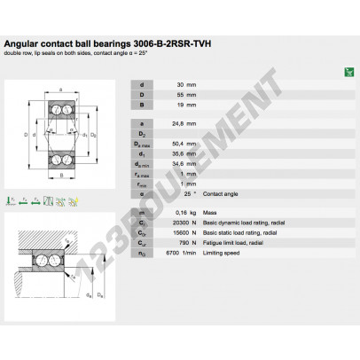 3006-B-2RSR-TVH-FAG
