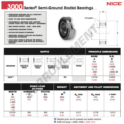 3006-SS-NICE