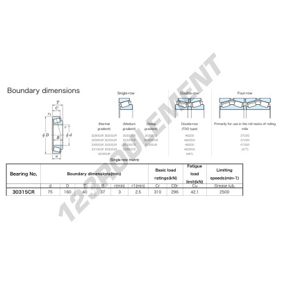 30315-CR-JTEKT