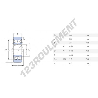 305807-2RS-INA