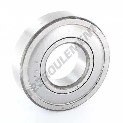 309-Z-SKF