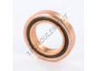 309544DB-SKF