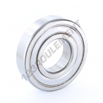 310-Z-SKF