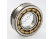 313288-SKF