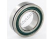 361914-SKF