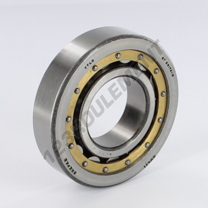 407303-SKF