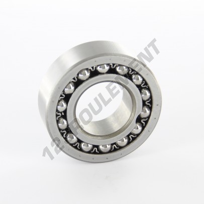 4206-SKF