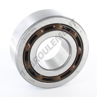 4309-ATN9-SKF