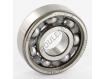 440146-CC-SKF