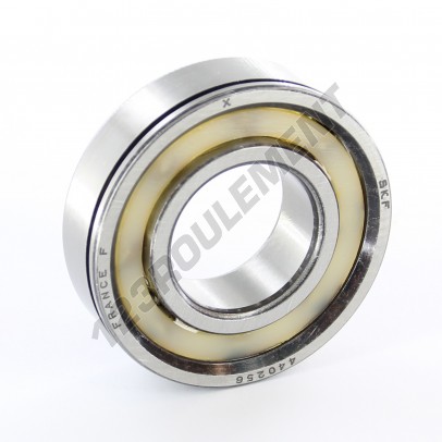 440256-SKF