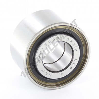 445979AA-SKF