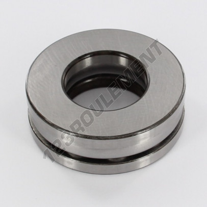 51308-SKF