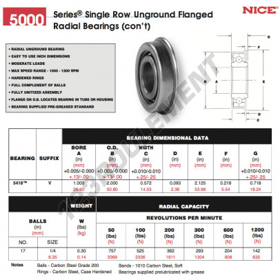 5418-V-NICE