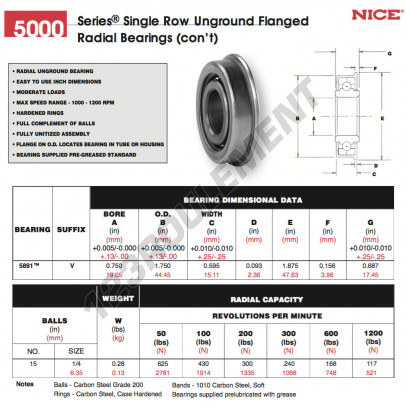 5891-V-NICE