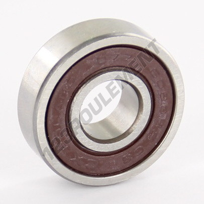 6000-2RS-C3